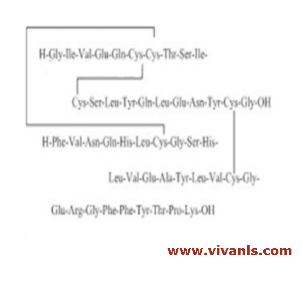 Metabolites-Glargine Metabolite 2-1664267099.png